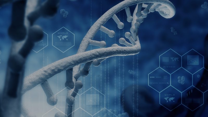 老年人阳虚体质调理：了解体质，科学养生**